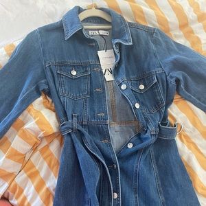 NWT Zara “The Betty Dress”